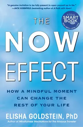 Read: The Now Effect (with embedded videos) Book