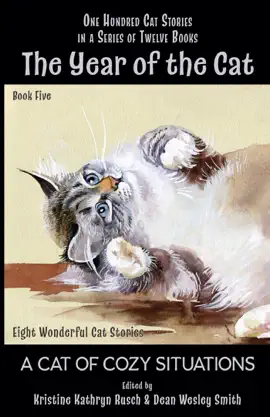 Read: The Year of Book the Cat: A Cat of Cozy Situations