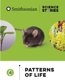 Patterns of Life - Smithsonian Institution