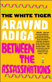 Between the Assassinations