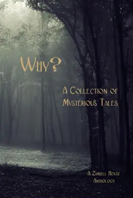 Read: Why? A Collection of Book Mysteries Tales