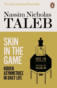 Skin in the Game Book Cover