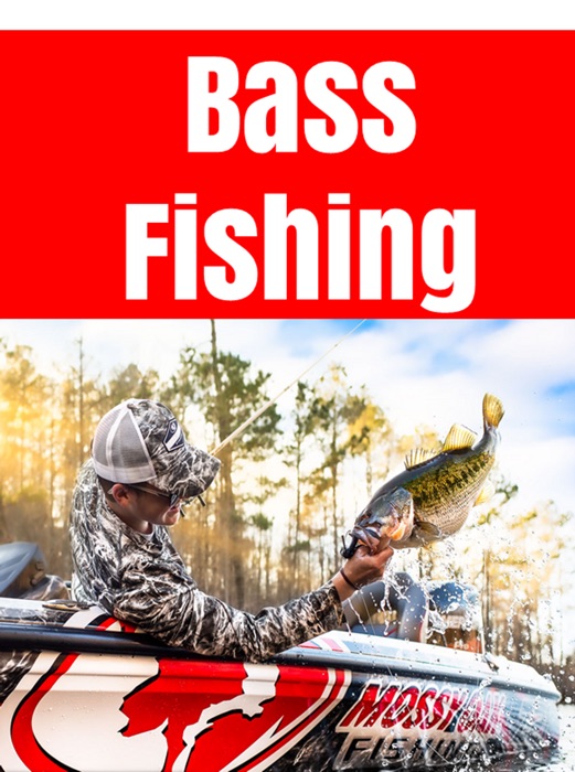 Bass Fishing