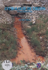 Saint-Victor, Estivareilles, Verneix : anthologie de Thizon, en Bourbonnais - Collectif & Michel Pille
