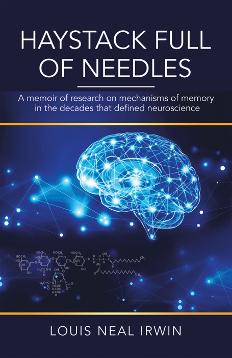 download-haystack-full-of-needles-by-louis-neal-irwin-ebook-pdf