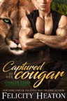 Captured by her Cougar