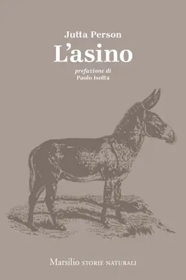 Read: L'asino