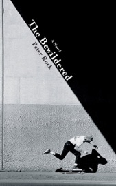 The Bewildered - Peter Rock