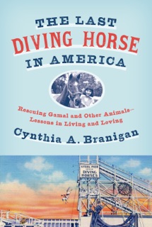The Last Diving Horse in America by Cynthia A. Branigan