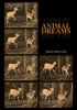 Book Animal Dreams