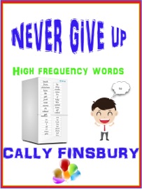 Book Never Give Up High Frequency Words - Cally Finsbury