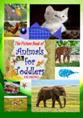 The Picture Book of Animals for Toddlers - DR. MEMO