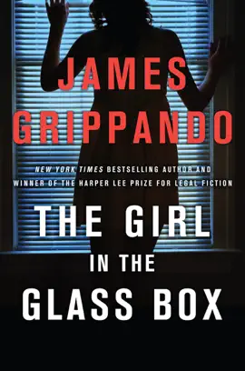 Read: The Book Girl in the Glass Box