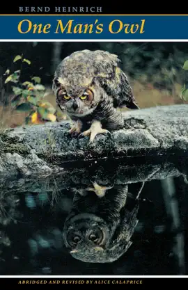 Read: One Man's Owl Book
