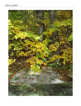 Read: Book Landscapes 1.0