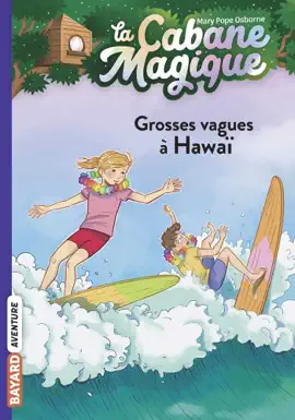 Read: La Book cabane magique, Tome 23