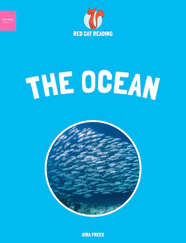 The Ocean