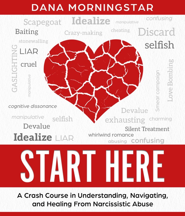Start Here A Crash Course in Understanding, Navigating, and Healing from Narcissistic Abuse
