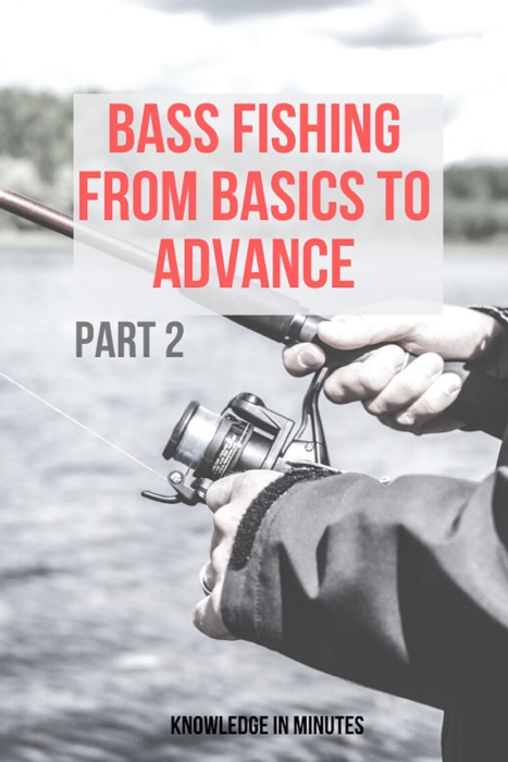 Bass Fishing From Basics To Advance: Part 2