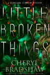 Little Broken Things by Cheryl Bradshaw Book Summary, Reviews and Downlod