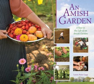 Amish Garden by Laura Anne Lapp