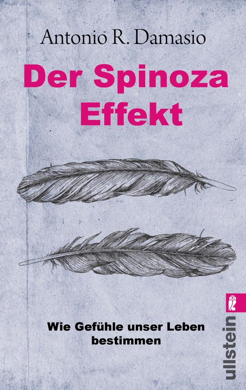 Der Spinoza-Effekt