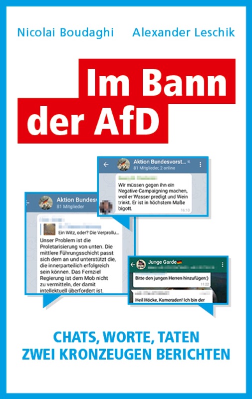 Im Bann der AfD