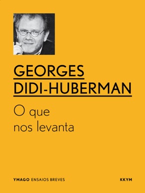 Capa do livro O Espaço Entre as Imagens de Didi-Huberman, Georges