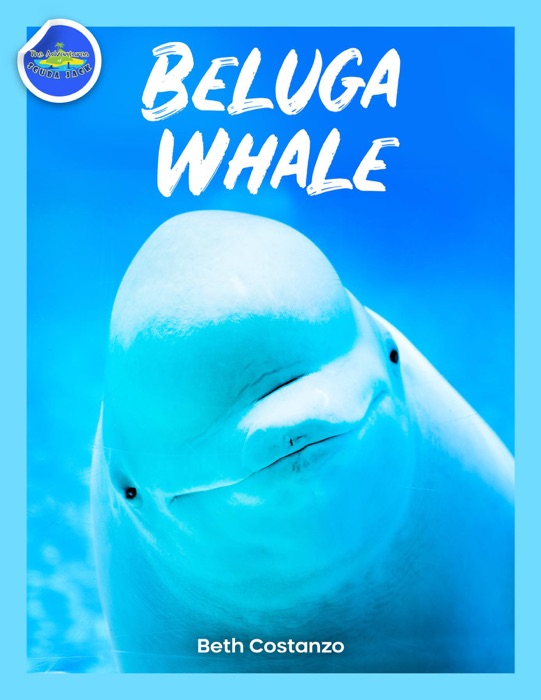 Beluga Whale Learning Activity Booklet for Kids!