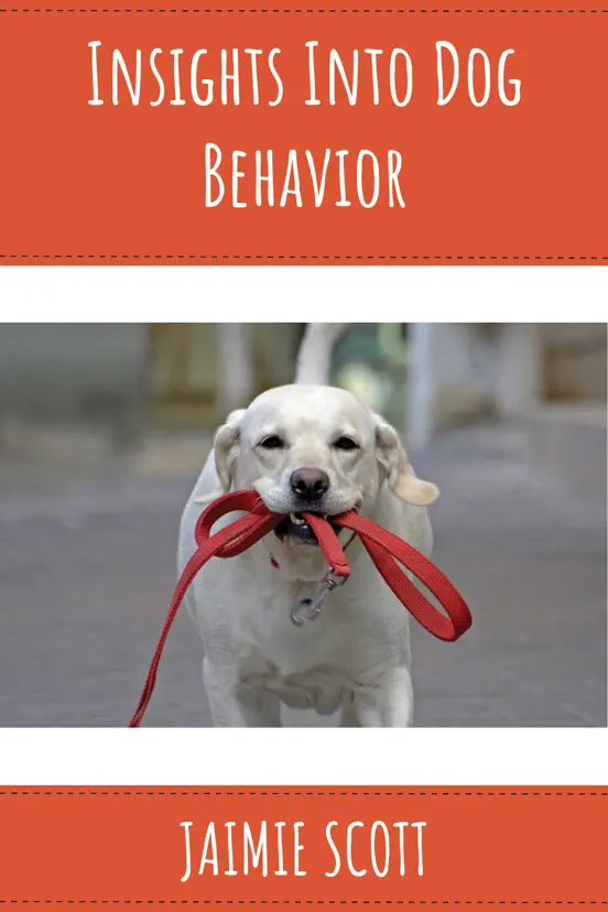 Insights Into Dog Behavior