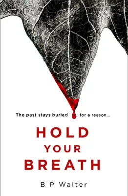 Hold Your Breath by B P Walter book