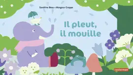 Read: Il pleut, il mouille Book