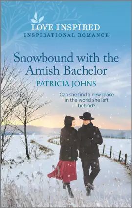 Read: Snowbound with Book the Amish Bachelor