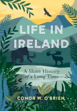 Life in Ireland