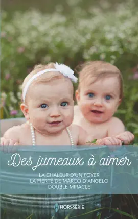 Read: Des jumeaux à aimer Book
