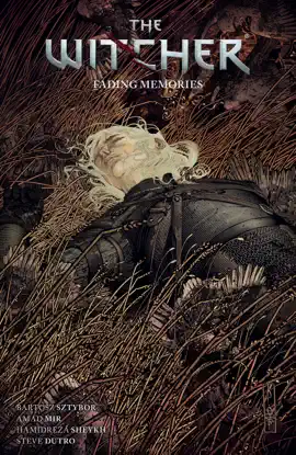 Read: The Witcher Book Volume 5: Fading Memories
