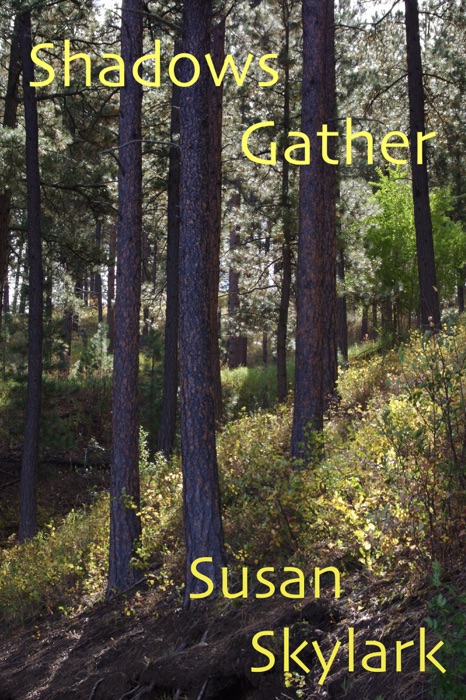 Shadows Gather