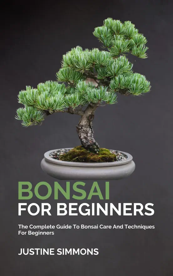 Bonsai For Beginners