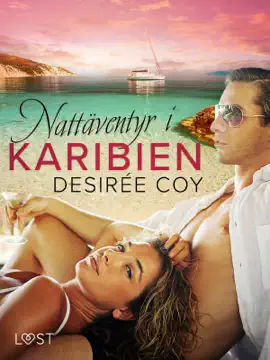 Nattäventyr i Karibien - erotisk romance