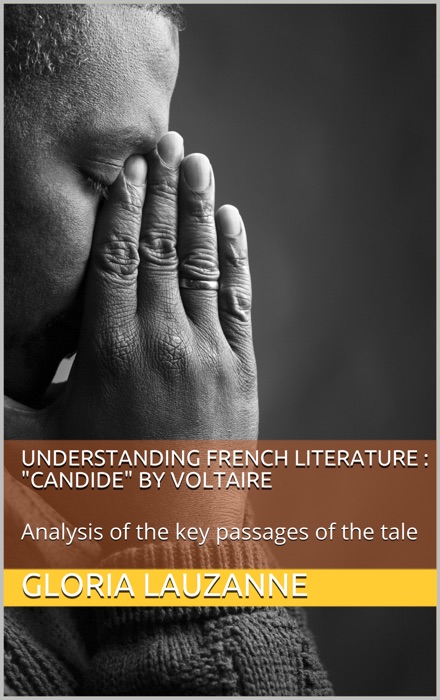 Understanding french literature : 