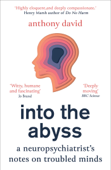 Into the Abyss - Anthony David