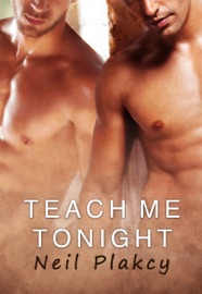 Teach Me Tonight - Neil S. Plakcy