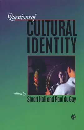 Read: Questions of Cultural Book Identity : SAGE Publications