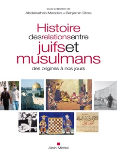 Histoire des relations entre juifs et musulmans des origines à nos jours by Various Authors, Abdelwahab Meddeb & Benjamin Stora