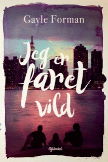 Jeg er faret vild by Gayle Forman