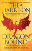 Dragon Bound Book Cover