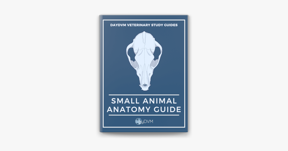 ‎Small Animal Veterinary Anatomy Guide by Sydney Day (ebook) Apple Books