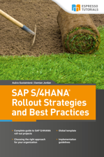 SAP S/4HANA Rollout Strategies and Best Practices - Ausra Gustainiene Cover Art