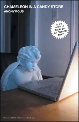 Read: Chameleon in a Candy Store Book