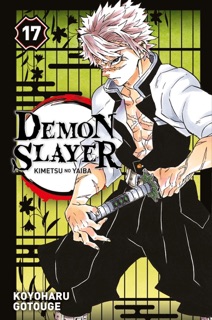 Demon Slayer T17 by Koyoharu Gotouge